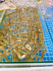 -万达宝贝王(青岛路万达广场店)