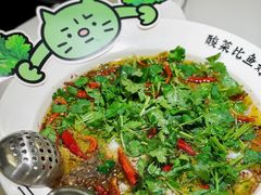 -太二酸菜鱼(汕头苏宁广场店)