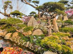 -罗红摄影艺术馆