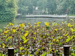 -凌记(泮塘路店)