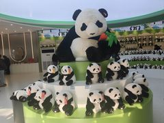 -秦皇岛野生动物园