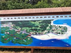 -北海金海湾红树林生态旅游区