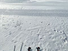 -蓟县盘山滑雪场