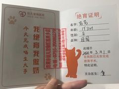 -创凡宠物医院·骨专科  猫科中心(西乡分院)