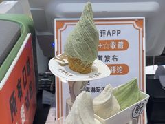 -野人先生现做冰淇淋(西安赛格店)