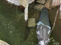 -青青世界