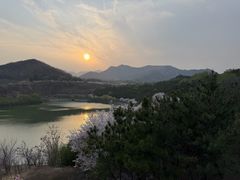 -樱花山风景区