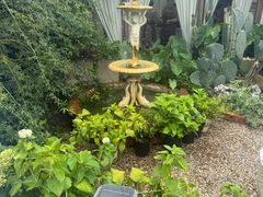 -Jo's Garden