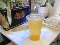 -吉丁鸟咖·异宠·寄养