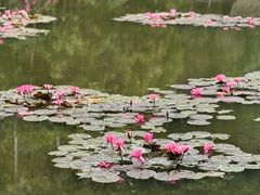 -野象谷景区