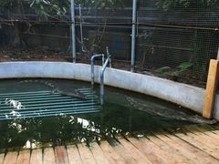 -呀路古热带植物园