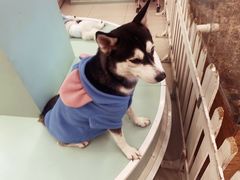 -怪兽屋·羊驼·猫咖·狗咖(俊华广场店)