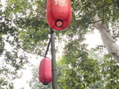 -杭州黄龙洞