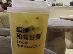 -狐狸和向日葵(北京路店)