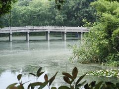 -西溪国家湿地公园