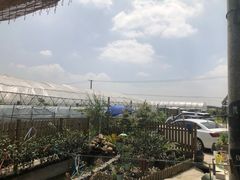 -美家乐农庄·露营·团建(大治路店)