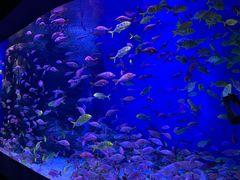 -成都浩海立方海洋公园