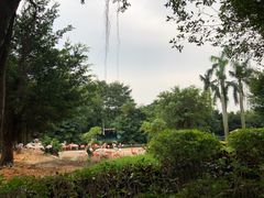 -广州长隆飞鸟乐园