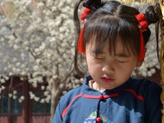 -护国法轮寺