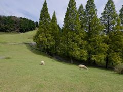-神户市立六甲山牧场