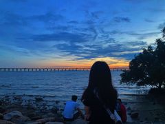 -宝安西湾红树林湿地公园