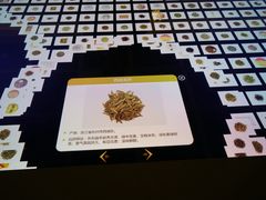 -中国茶叶博物馆(双峰馆区)