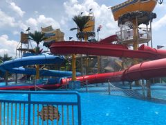 -美的鹭湖探索王国