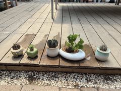 -李村大集