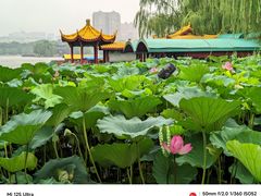 -济南大明湖景区