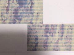 -哆趣宠物医院·眼科·内镜·急重症转诊中心(上海店)