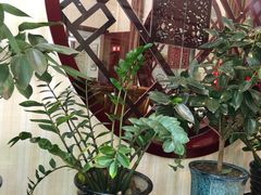 -丽泽山庄·生态怀柔菜·虹鳟鱼(红螺寺店)