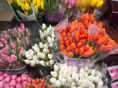 -循礼门鲜花花市(武汉循礼门店)