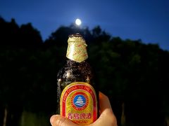 -贡湖湾湿地公园