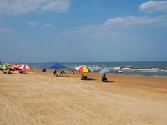 -日照海滨国家森林公园