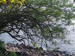 -南丫岛
