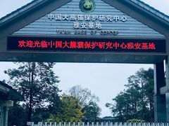 -中国大熊猫保护研究中心雅安碧峰峡基地