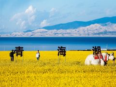 -青海湖国家重点风景名胜区