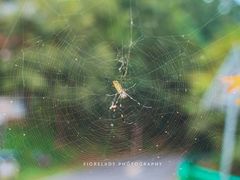 -南京金牛湖风景区