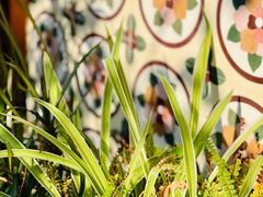 -时光花园(白鹭洲店)