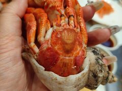-集品鲜湾·蒸汽海鲜自助料理(青岛银座和谐广场店)