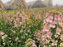 -中国天府农业博览园