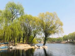 -石家庄市动物园