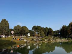 -铁山坪森林公园