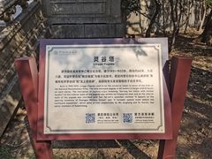 -灵谷景区
