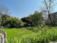 -成都市活水公园