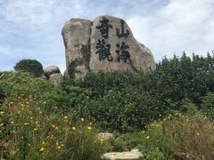 -枸杞岛