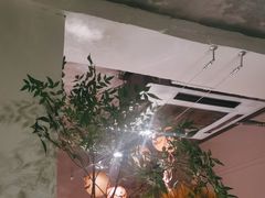 -粉八·云南米线·建水烧烤(常熟路店)