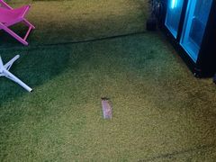 -CIAO·团建聚餐·生日派对轰趴馆(福田店)