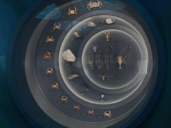 -中国湿地博物馆