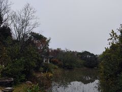 -上海海湾国家森林公园